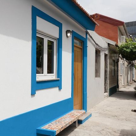 Oportohost Campanha Lägenhet Exteriör bild